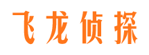 岭东侦探